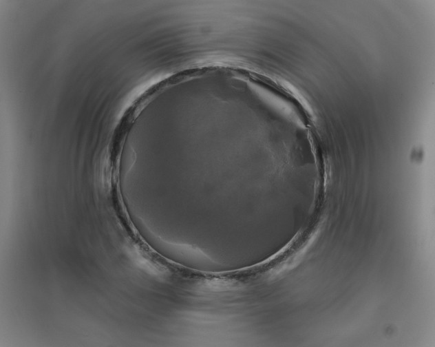 X0000094791117200711161427