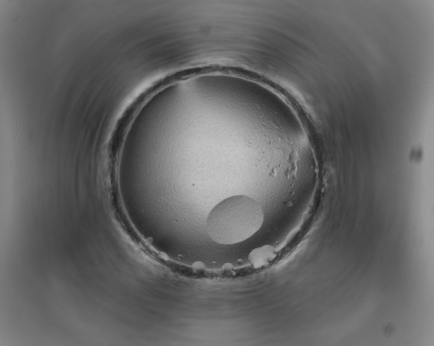X0000094791118200711161427