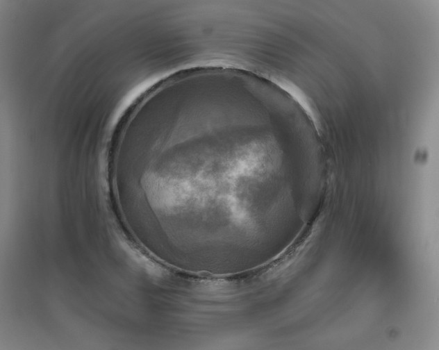 X0000094791120200711161427