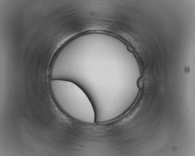 X0000094791121200711161427