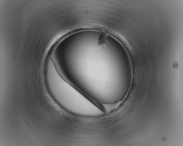 X0000094791122200711161427