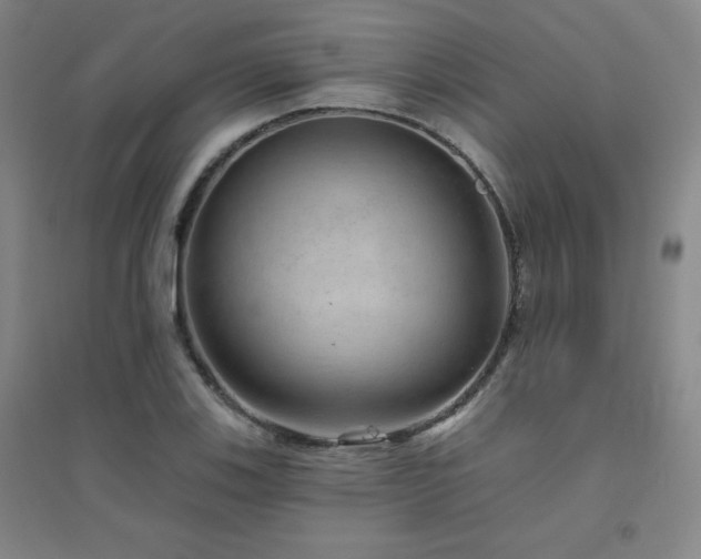 X0000094791123200711161427