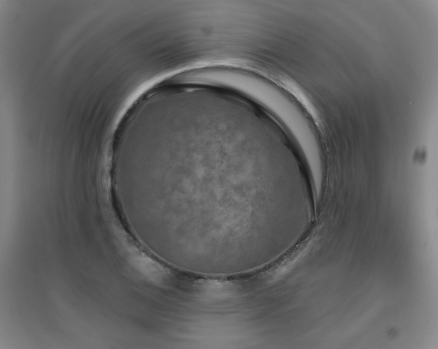 X0000094791124200711161427