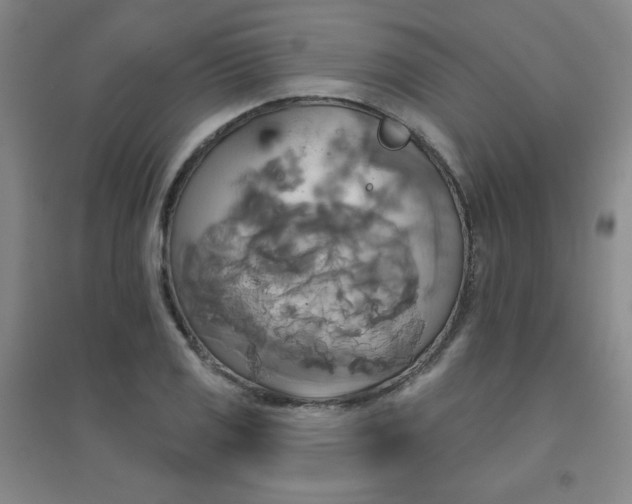 X0000094791125200711161427