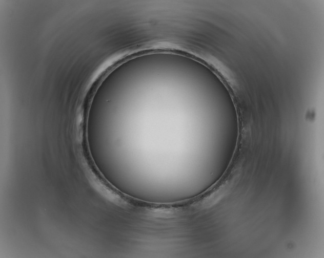X0000094791126200711161427