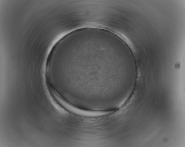 X0000094791128200711161427