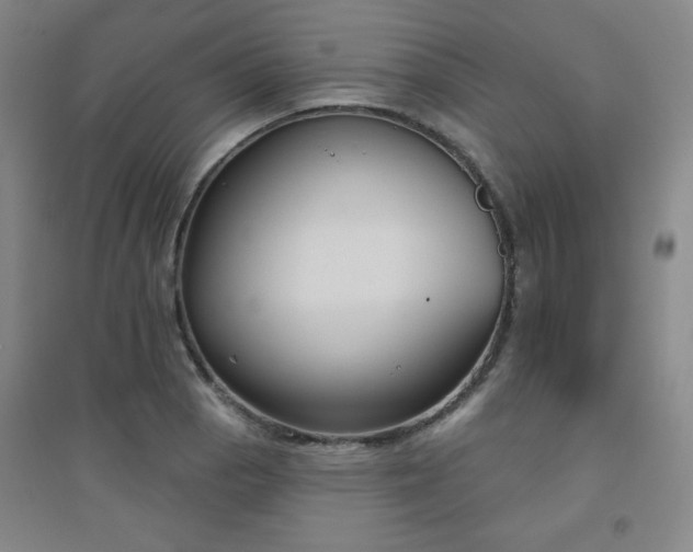 X0000094791129200711161427