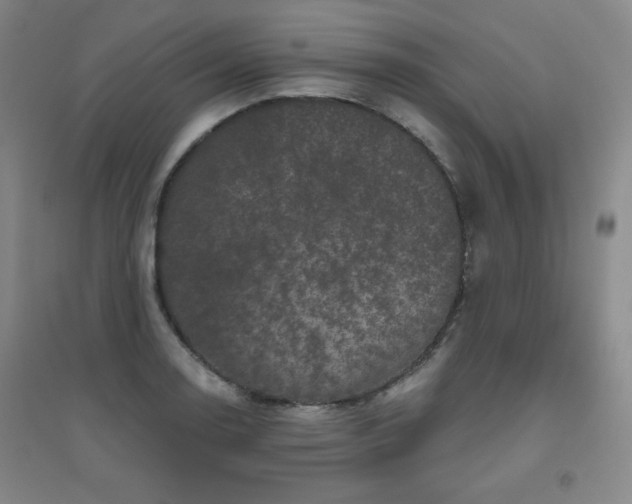 X0000094791130200711161427