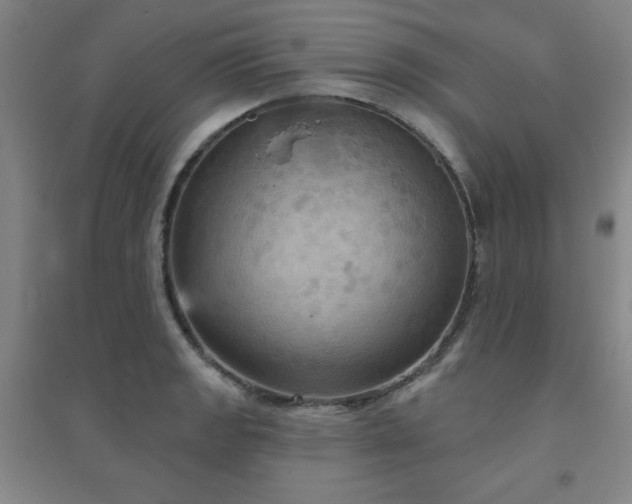 X0000094791133200711161427