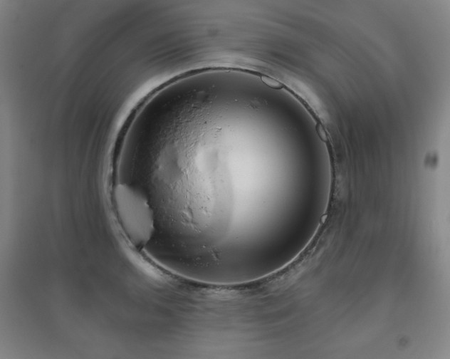 X0000094791136200711161427