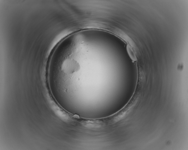 X0000094791138200711161427