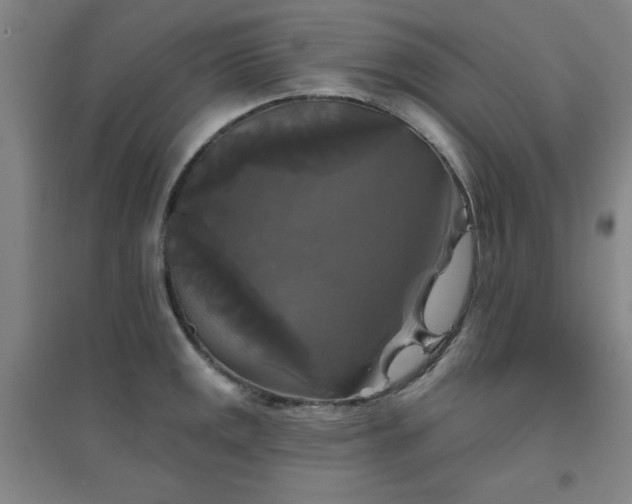 X0000094791141200711161427