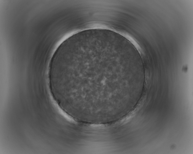 X0000094791142200711161427