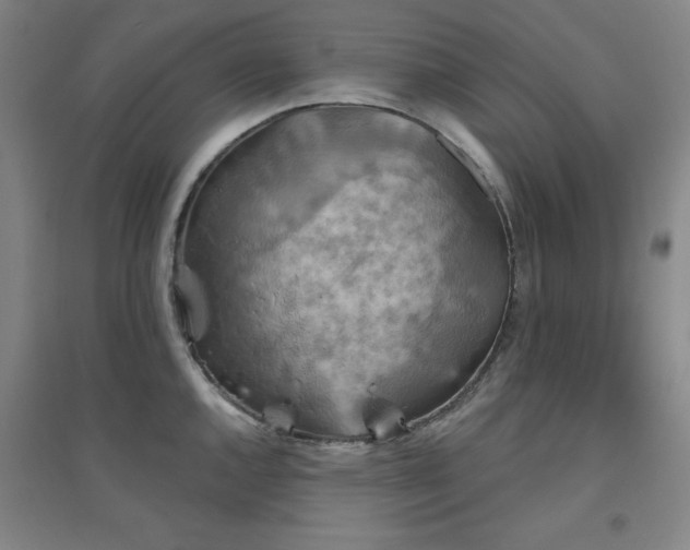 X0000094791144200711161427