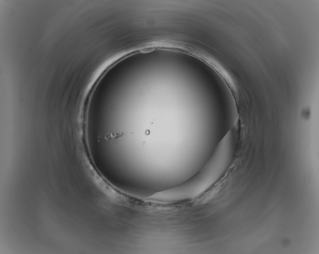 X0000094791148200711161427