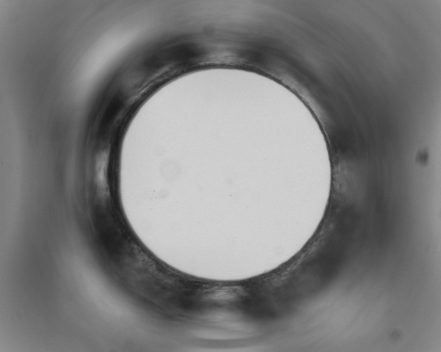 X0000094791150200711161427