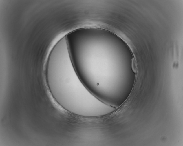 X0000094791152200711161427