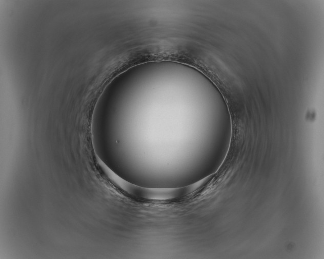 X0000094791153200711161427