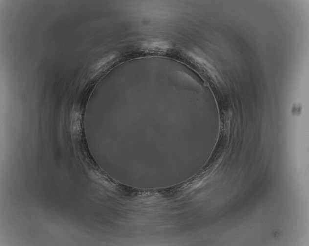 X0000094791154200711161427