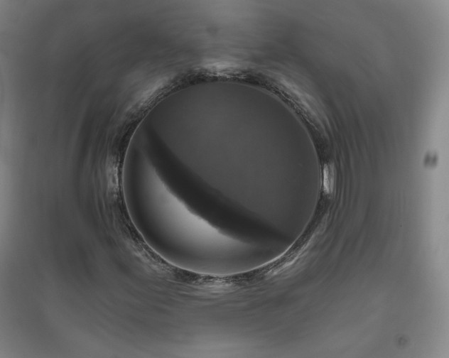 X0000094791155200711161427