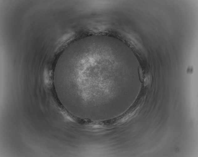 X0000094791156200711161427