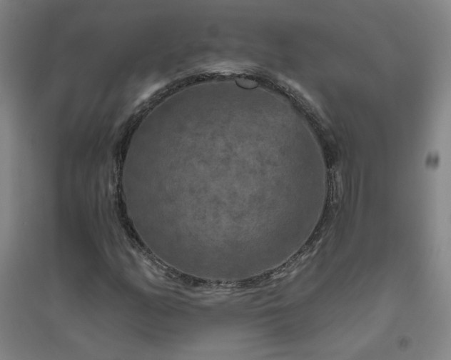 X0000094791158200711161427