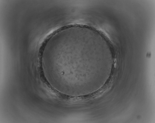 X0000094791159200711161427