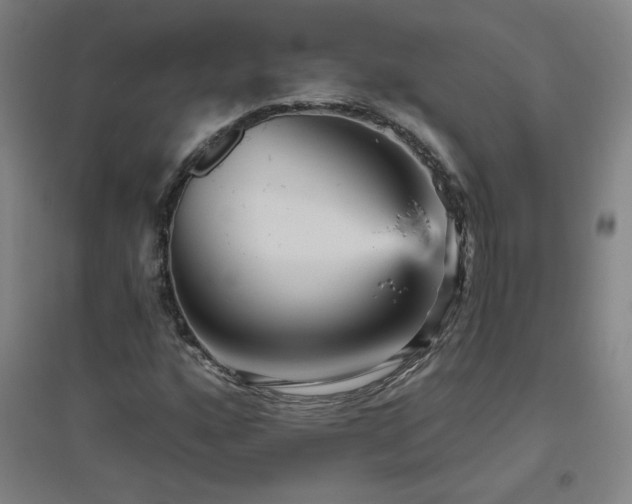 X0000094791160200711161427