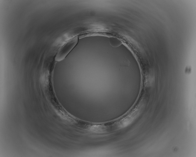 X0000094791161200711161427
