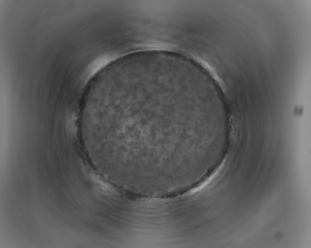 X0000094791163200711161426