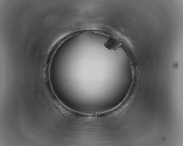 X0000094791166200711161426