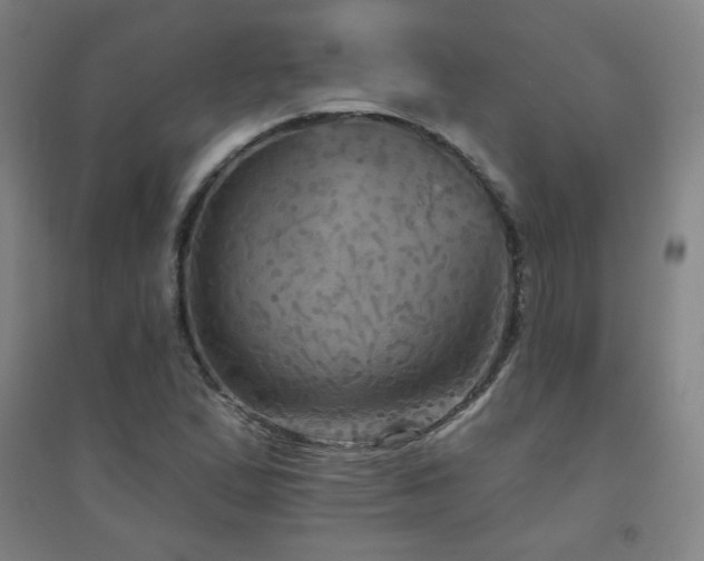 X0000094791167200711161426
