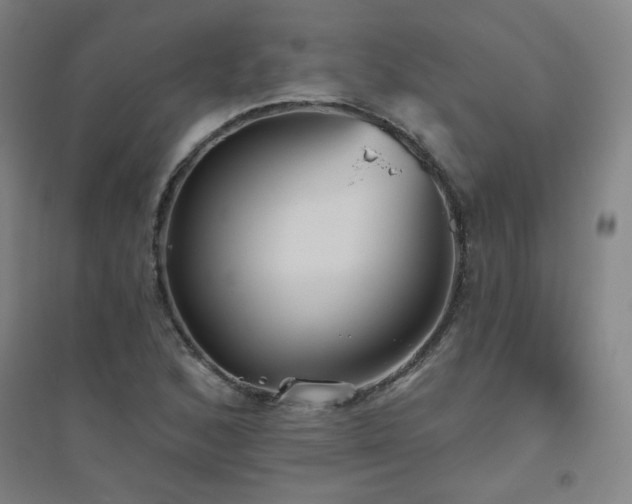 X0000094791168200711161426