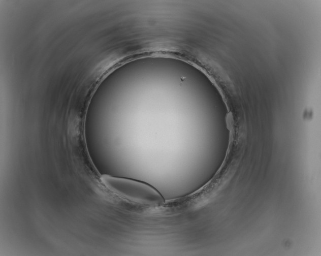 X0000094791169200711161426