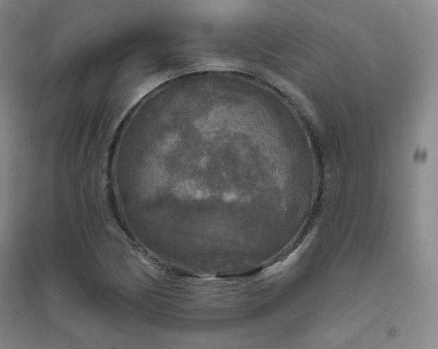 X0000094791170200711161426