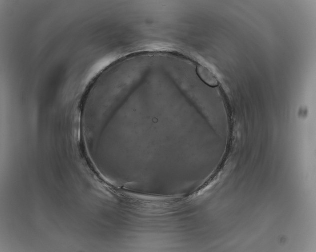 X0000094791171200711161426