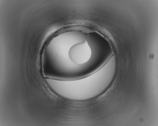 X0000094791172200711161426