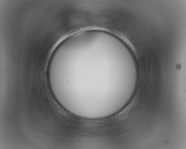 X0000094791173200711161426