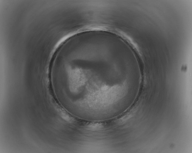 X0000094791174200711161426