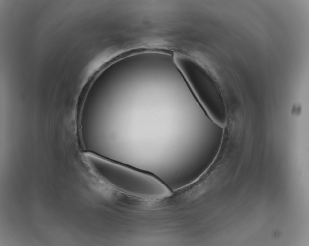 X0000094791176200711161426
