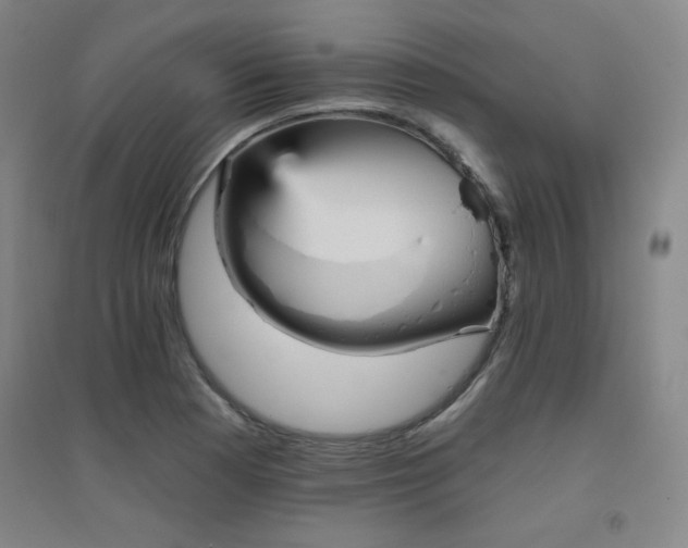 X0000094791177200711161426
