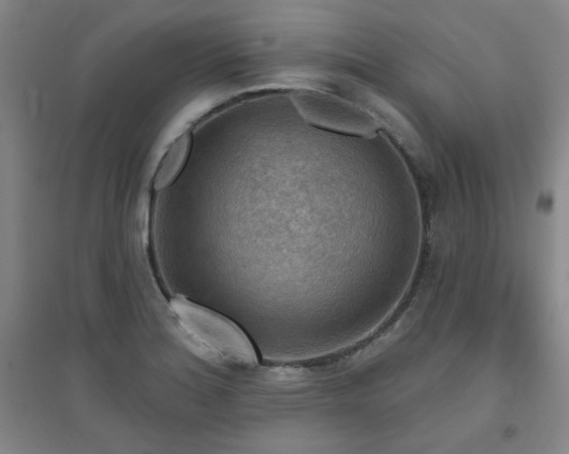 X0000094791180200711161426