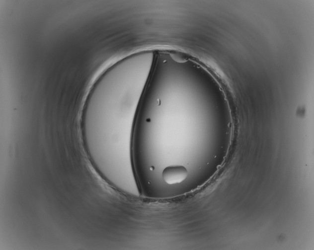 X0000094791181200711161426