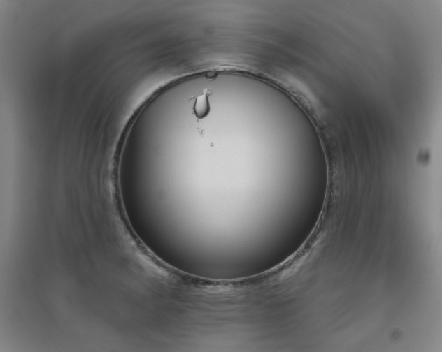 X0000094791182200711161426