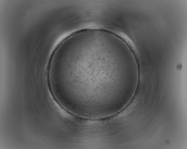 X0000094791183200711161426