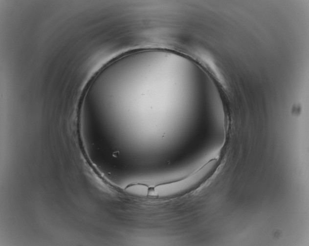 X0000094791184200711161426