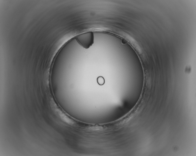 X0000094791186200711161426
