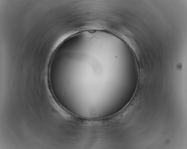X0000094791187200711161426