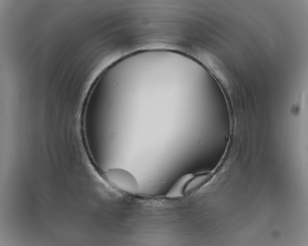 X0000094791189200711161426