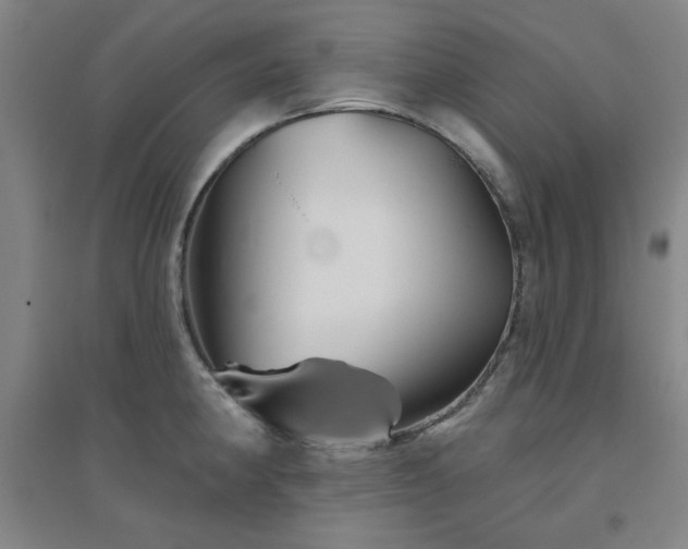 X0000094791190200711161426